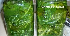 two mason jars filled with spinach leaves and labeled canned kale