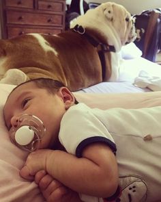 a baby laying on top of a bed next to a brown and white dog with a pacifier in it's mouth