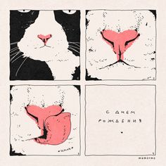 four paneled drawing of a cat's face and nose