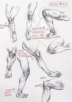 an image of a drawing of legs and feet in various positions with instructions on how to draw them