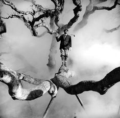 a man standing on top of a tree branch in front of a foggy sky