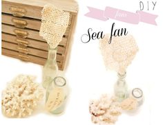 two bottles with sea fans in them next to a wooden box and some other items