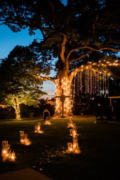 lit candles in the grass under a large tree