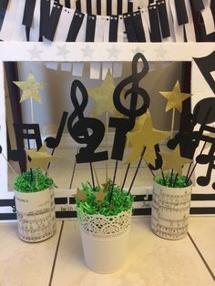 three potted plants with musical notes and stars on them in front of a music themed backdrop