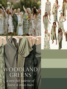 the cover of woodland greens an new fall catalog for forest & moss hues