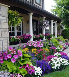 colorful flowers line the side of a house