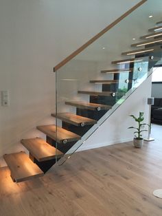 a stair case with glass railing and wood treads in a modern style home setting