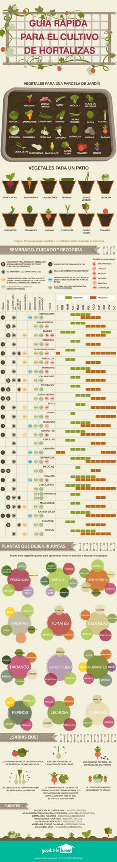 an info sheet showing the different types of food in each country, including meats and vegetables