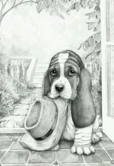 a black and white drawing of a dog with a hat