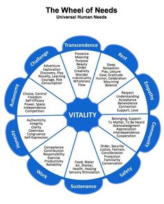 the wheel of needs that is used to help people understand what they are doing in their life