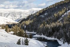 snow covered mountains and trees with a river in the foreground on a sunny day