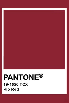 the pantone color is shown in red and white, with an empty rectangle