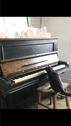 a black cat sitting on a stool next to a piano in front of a window