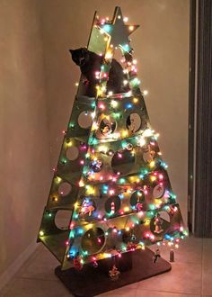 a cat is sitting on top of a christmas tree made out of tinsels