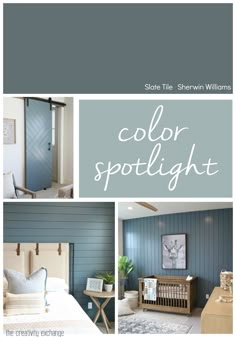 a blue and white color scheme with the words, sheryln williams's color spotlight