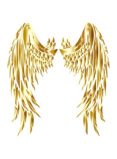 Golden Wings Art, Gold Wings Angels, Gold Wing, Angel Logo, Angel Wings Clip Art, Angel Wings Drawing, Wings Wallpaper, Golden Wings, Gold Angel Wings