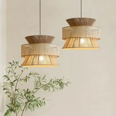 two lamps hanging from the ceiling above a plant