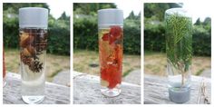 three different views of the same vase with plants in it and water inside, on top of a wooden table