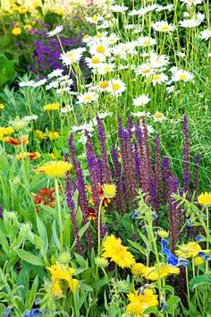 many different types of flowers in a garden