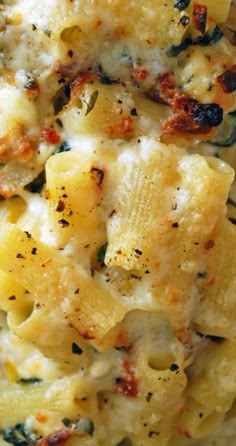 pasta with cheese and spinach in a white sauce on a plate, ready to be eaten