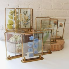 four frames with pressed flowers in them on a white table next to a brick wall