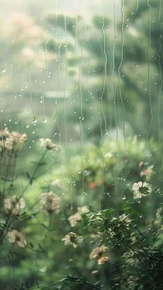 the view from behind a window with raindrops on it and flowers in the foreground