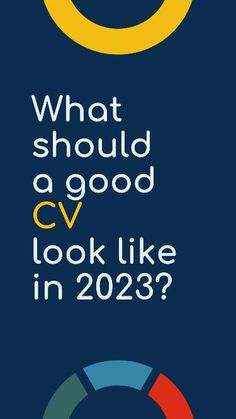 what should a good cv look like in 202? info graphic design typograph