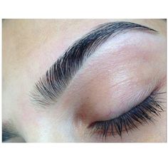 Eyebrow Guide, Eyebrow Hacks, Eyebrow Growth, Eyebrows On Fleek, Brows On Fleek