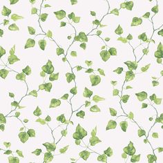 green leaves on a white background that looks like they have been painted in watercolor