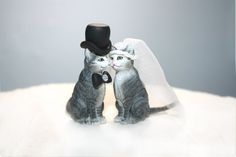 two cats are standing next to each other with a hat on their head and veil over their eyes