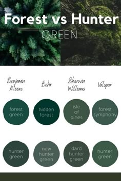 the forest is green and there are many different types of trees to choose from in this article