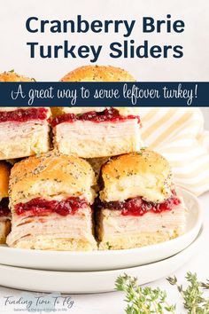 cranberry brie turkey sliders on a white plate with text overlay