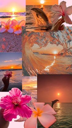 Summer Asethic Photos Wallpaper, Cute Preppy Backgrounds, Summer Asthetics Photos Wallpaper, Water Collage, Summer Prints Wallpaper, Flowers In Water, Summer Beach Wallpaper, Beach Wall Collage, Cute Images For Wallpaper