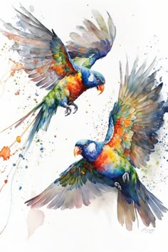 two colorful birds flying next to each other