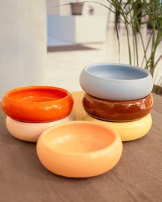 three bowls sitting on top of a table next to a potted green plant in the background