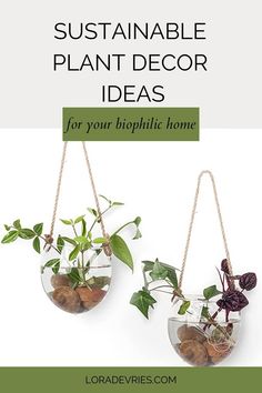 two hanging planters with plants in them and text that reads, how to make your own sustenable plant decor ideas for your home