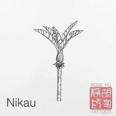 an ink drawing of a palm tree with the words nikau written below it