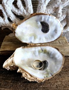 two open oysters sitting on top of a wooden table