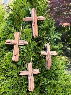 wooden crosses are hanging from the branches of a tree in front of some bushes and trees