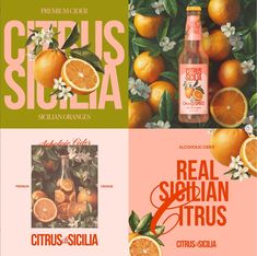 oranges and other fruit are featured in this collage with the words citrussia