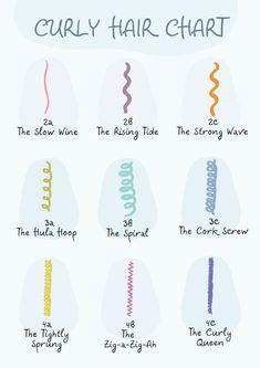 Curly Hair Number Chart, Curly Hair Chart Curl Pattern, Hair Pattern Chart Natural, Hair Chart Type, Hair Patterns Chart, Hair Chart Texture, Curly Types Charts, Curly Hair Pattern Chart, Type Of Hair Texture Chart