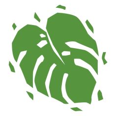 Monstera flat plant PNG Design Plant Png, Social Media Graphics, Svg Design, Png Image, T Shirt Design