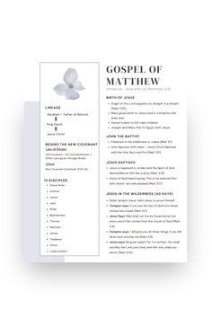 Book of Matthew Bible Study (Free Pdf for Beginners) - Lift Your Name Jesus Baptised