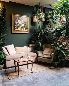 a living room filled with lots of plants and furniture