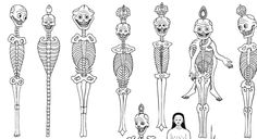 a line drawing of different types of skeletons and human body parts, all in black and white