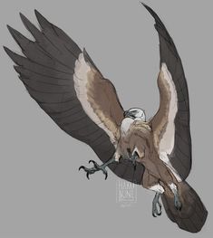 an eagle flying through the air with it's wings spread out and talon extended