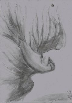 a pencil drawing of a woman's face with her hair blowing in the wind