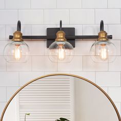 a bathroom mirror with two lights above it and a potted plant on the counter