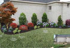 the front yard has many different types of trees and shrubs