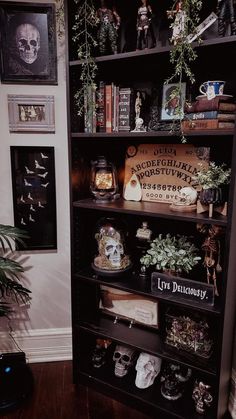 a bookshelf filled with lots of different items next to a potted plant